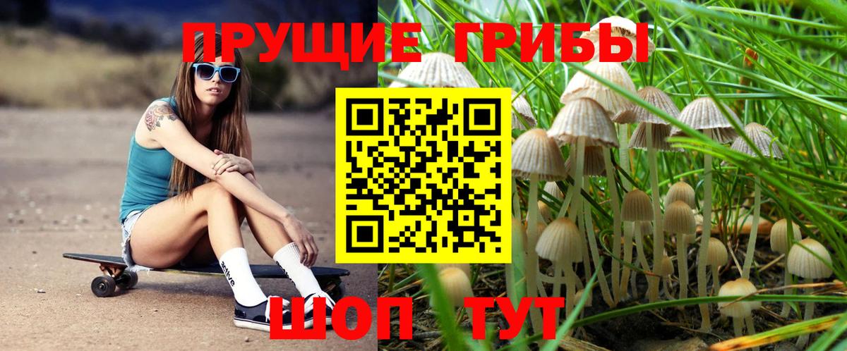Галлюциногенные грибы MAGIC MUSHROOMS Воркута